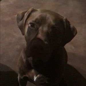 Meet your Posher, Lindsey